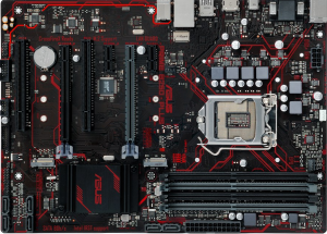 d0dad8af0c2f0d6f08246c07b243a229-1274