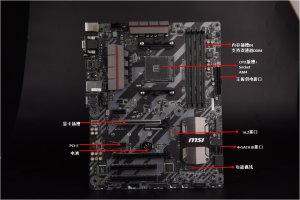 d0dad8af0c2f0d6f08246c07b243a229-1309