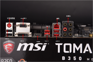 d0dad8af0c2f0d6f08246c07b243a229-1310