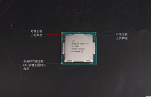 d0dad8af0c2f0d6f08246c07b243a229-1369