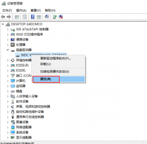 d0dad8af0c2f0d6f08246c07b243a229-1905