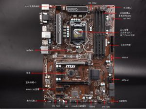 d0dad8af0c2f0d6f08246c07b243a229-478